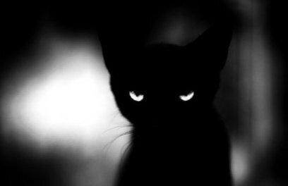 FFFFOUND! | Tumblr | Witch | Scoop.it