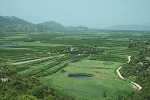Croatia: Wine, Wheat & More: Seminar October 1, 2012 | Research from the NC Agricultural Research Service | Scoop.it
