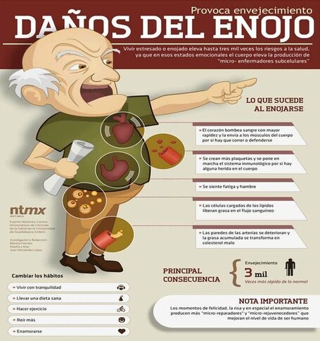 Infograf&iacute;a sobre el enojo | infografiando | Scoop.it