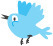 Mobile 2012 | Mobile Learning & Information Literacy | Scoop.it