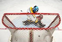 SAP and German Ice Hockey League to Redefine the Fan Experience With Powerful Analytics Technology | Social Media ePower Marketing | Scoop.it
