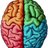 Debunking Brain Myths