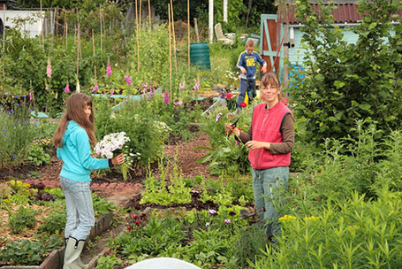 Moestuinseizoen 2011 - een terugblik | Permacultuur in Nederland | Scoop.it