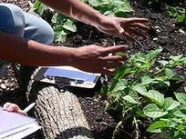 Evolver Spores: The Great Reskilling | Evolver.net | kalen | Scoop.it