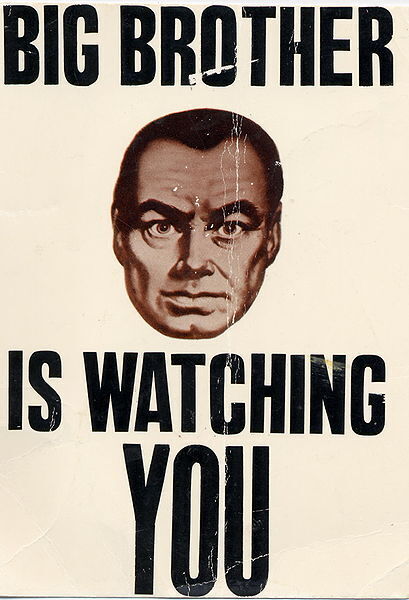 FUKUSHIMA BIG BROTHER S' INSTALLE | Fukushima and aftermath: issues about the radiation level | Scoop.it