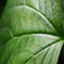 21st Century Schools | learningstream | Scoop.it