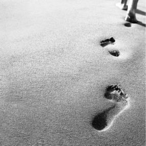 Web Tools to Blur Your Digital Footprint | Tecniche per la visibilit&agrave; online | Scoop.it