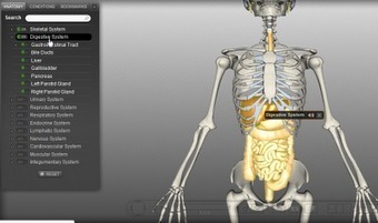 Exploraci&oacute;n del Cuerpo Humano... | Blog de Grupo U | Herramientas y Recursos Docentes | Scoop.it
