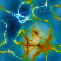 REACH to Rewire your Brain | Psychology Professionals | Scoop.it
