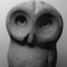 L'oiseau de Minerve