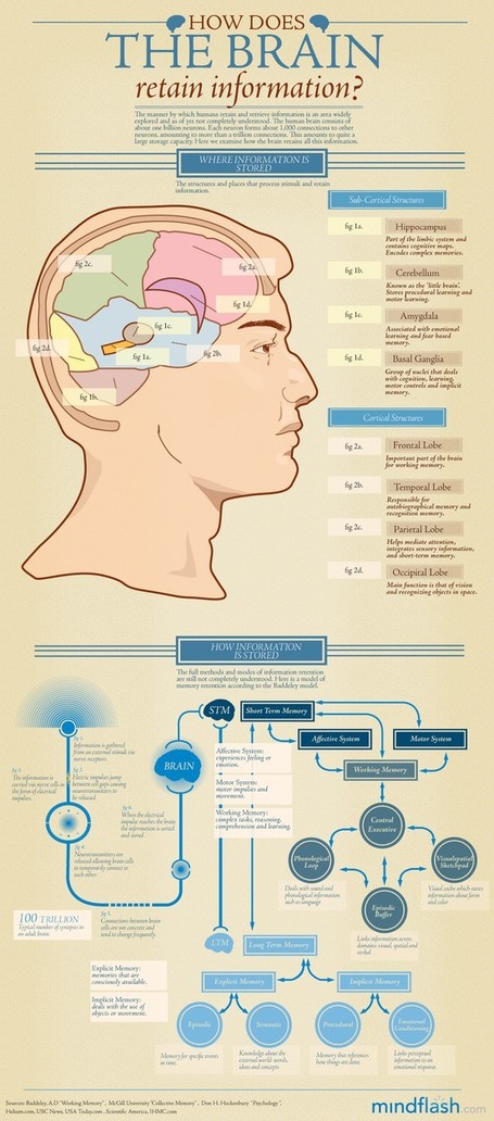 Educational Infographics! - "How does the brain retain information" | Educational Boards (Pinterest & Visual.ly) | Scoop.it