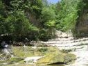 National wildlife refuge proposed for Franklin Co. | Tennessee Libraries | Scoop.it