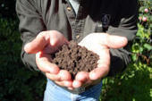 Master Gardeners: The dirt on soil problems | 100 Acre Wood | Scoop.it