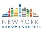What It Takes to Be a Bioinformatician | New York Genome Center | Health and Biomedical Informatics | Scoop.it