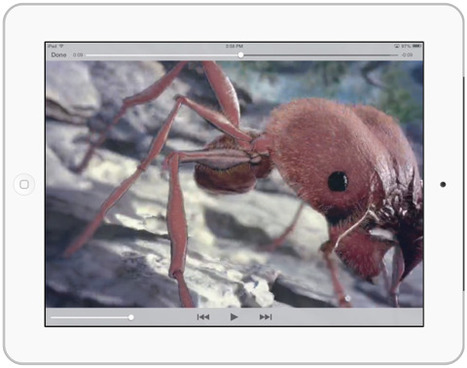 Optimizing iPad Video for iBooks Author and Pages | Publishing with iBooks Author | Scoop.it