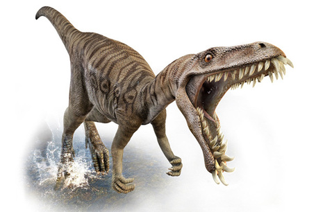 Dinosaurs | EFL Classroom 2.0 | Scoop.it