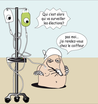 le vote, l'urne et la veill&eacute;e | chaptelat.com | humour, satire et blog caustique | Scoop.it