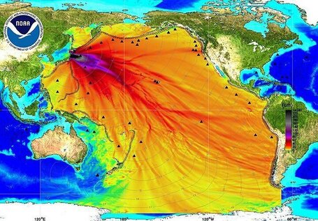 Fukushima: 40 millions de japonais en extr&ecirc;me danger pourraient &ecirc;tre &eacute;vacu&eacute;s en Russie ! | R&eacute;fugi&eacute;s environnementaux | Scoop.it