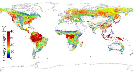 NASA Map Sees Earth's Trees in a New Light - NASA Jet Propulsion Laboratory | omnia mea mecum fero | Scoop.it