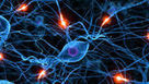 The Electronic Brain? Your Mind Vs. a Computer | Knowmads, Infocology of the future | Scoop.it