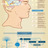 fitness and Wellness
