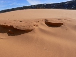 UTAH: Trip review &ndash; Coral Pink Sand Dunes State Park | State parks | Scoop.it