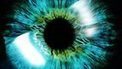 Simple eye scan can reveal MS damage | NYL - News YOU Like | Scoop.it