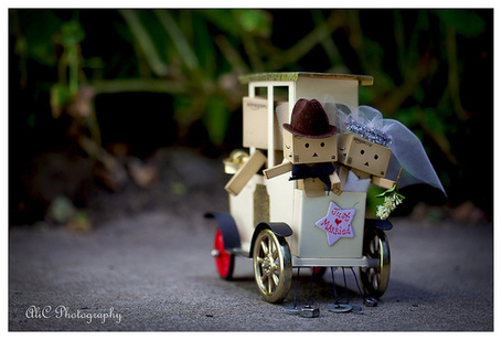  Danbo on Happy Anniversary   Flickr   Photo Sharing    Best Of Danbo   Scoop It