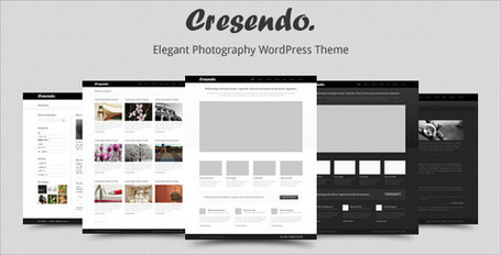 Cresendo - Elegant Photography WordPress Theme | Premium Wordpress Themes | Scoop.it