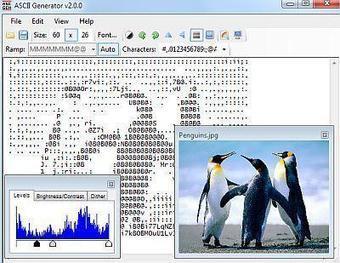 ASCII Generator 2 - Convertir des images en caract&eacute;res ASCII | -th&eacute;caires | Espace num&eacute;rique et autoformation | Scoop.it