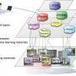 Breakthrough platform technology for improving effectiveness of online learning - Phys.Org | SteveB's Social Learning Scoop | Scoop.it