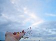 5 Things To Give Up To Be Happy | Era del conocimiento | Scoop.it