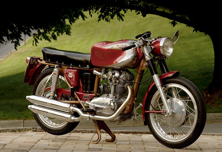 1962 Ducati Elite :: Tom Strongman.com | Desmopro News | Scoop.it