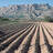 img_The Future of Agriculture and Food
