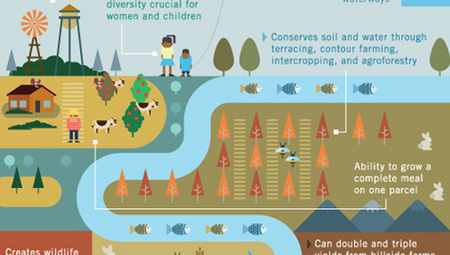 How to feed the world without destroying it [Infographic] | Sustainable Futures | Scoop.it