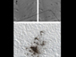 NASA Probe Counts Space Rock Impacts on Mars - NASA Jet Propulsion Laboratory | Planets, Stars, rockets and Space | Scoop.it