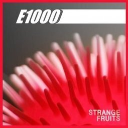 CHEZ.KITO.KAT Records - "Strange Fruits", l'album de E1000, disponible sur www.cd1d.com  #dubstep #electro | Labels CD1D | Scoop.it