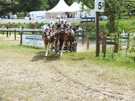 Photos de marie beatrice pelletier dans Google+ | Carriage Driving Radio Show | Scoop.it