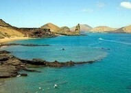 First impressions of Galapagos, by Brendan van Son | Gecko's ... | New Era Galapagos Foundation | Scoop.it