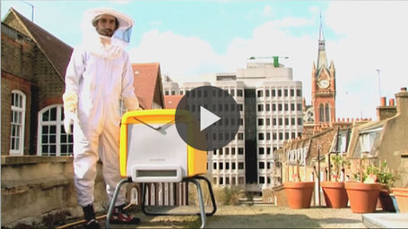 Beehaus : La ruche en plastique... | Economies Locales Vivantes | Scoop.it