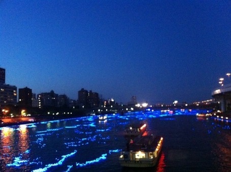 Tokyo Hotaru: Panasonic floats 100,000 LED 'fireflies' down the Sumida River | Consumer Engagement Marketing | Scoop.it