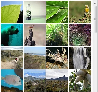 Create a Presentation at NeoK12 | Digital Presentations in Education | Scoop.it