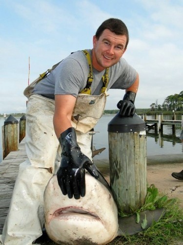 Bull Shark Catch in Maryland Highlights Nearness of Species to Shore | Sharks | Scoop.it