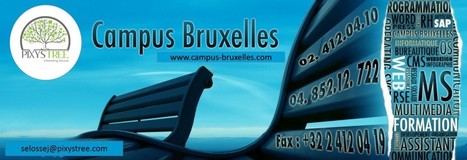 Formation : Google analytics : améliorez votre site et rentabilisez vos actions 2 jours | Emploi - formation | Scoop.it
