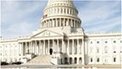 US Congress 'anti-terror arrest' | A | Scoop.it