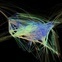 Visualizing a Full Day of Airplane Paths in the USA - The Atlantic Cities | Visualization in Science & Education | Scoop.it