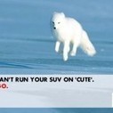 Why Shell was smart in blanking Greenpeace&rsquo;s social media hoax | SMI | Crisis Communications and Social Media | Scoop.it