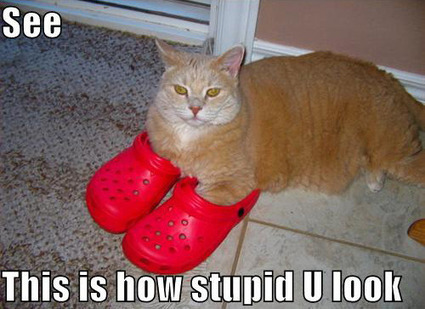 Are LOLCats Making Us Smart? - Atlantic Mobile | Hybrid Digital Culture | Scoop.it