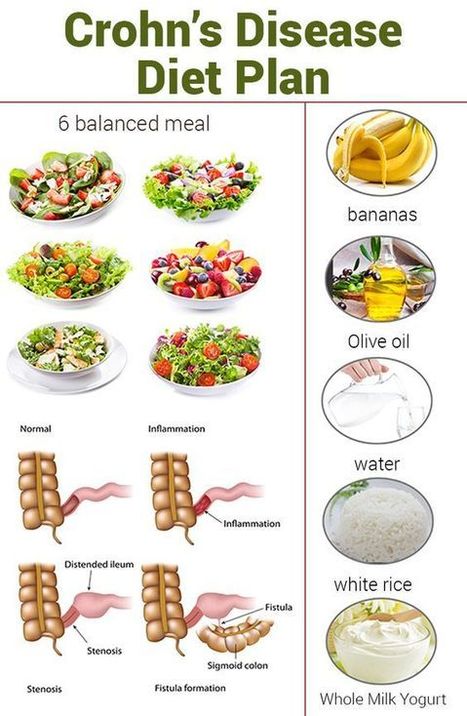 Absorb Plus Crohn`S Disease Diet Recommendations
