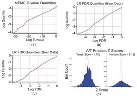 The Limits of De Novo DNA Motif Discovery | SynBioFromLeukipposInstitute | Scoop.it